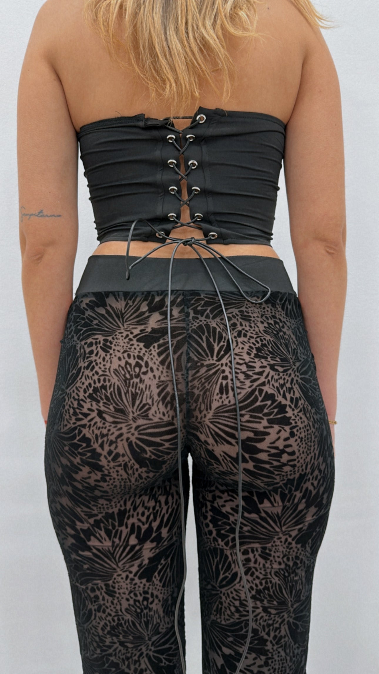 Conjunto Gaia