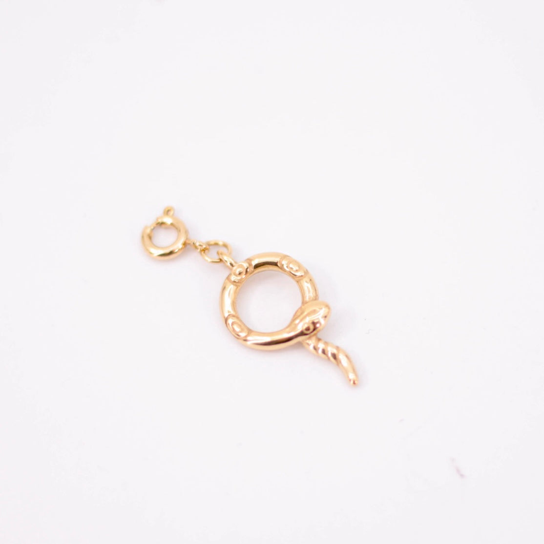 Charm serpiente en círculo