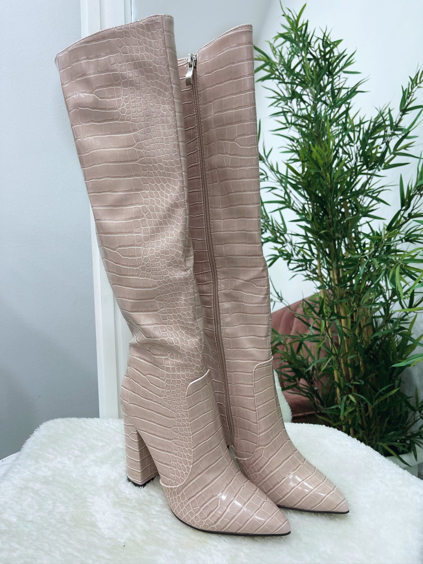 Bota Shanon 2 colores