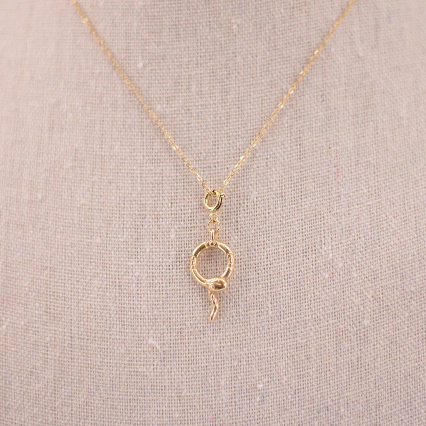 Charm serpiente en círculo