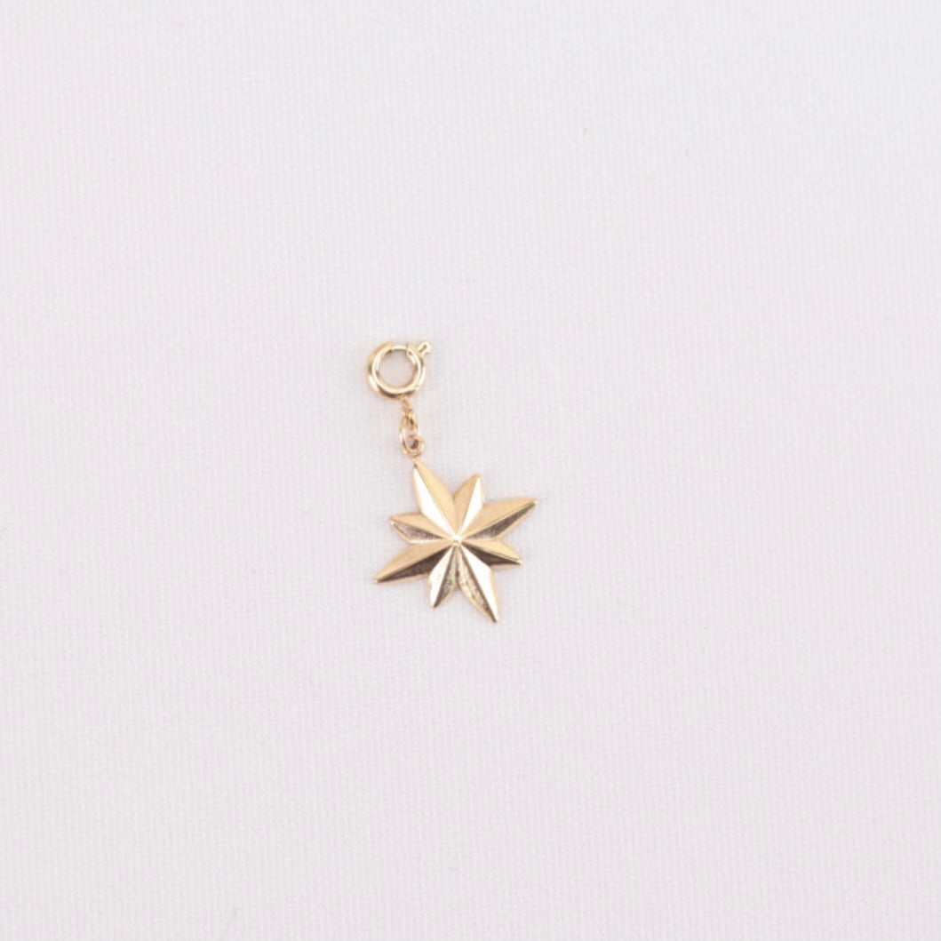 Charm estrella polar