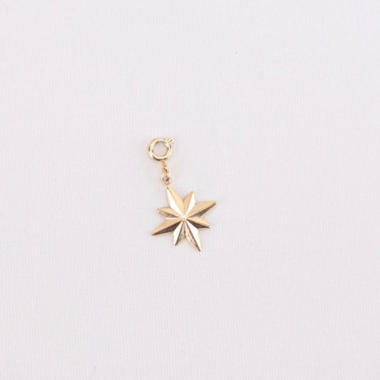 Charm estrella polar